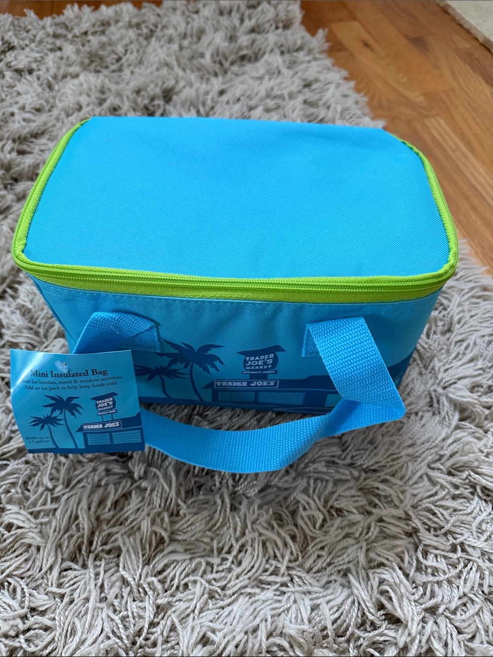 Trader Joe's Insulated Lunch Bag in Bright Blue with Lime Trim